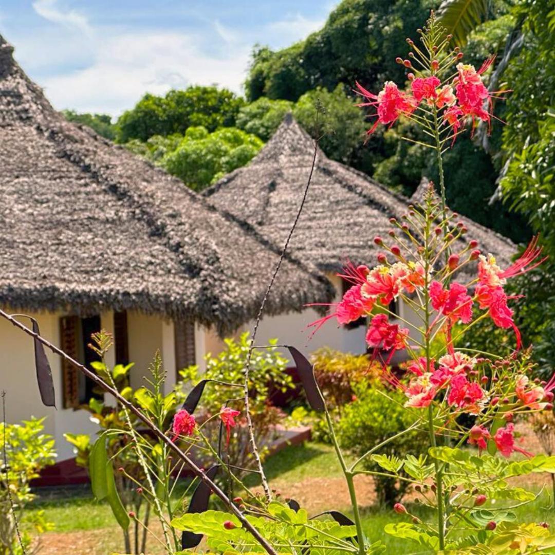 Wings Hotels Nosy-Be Ngoại thất bức ảnh